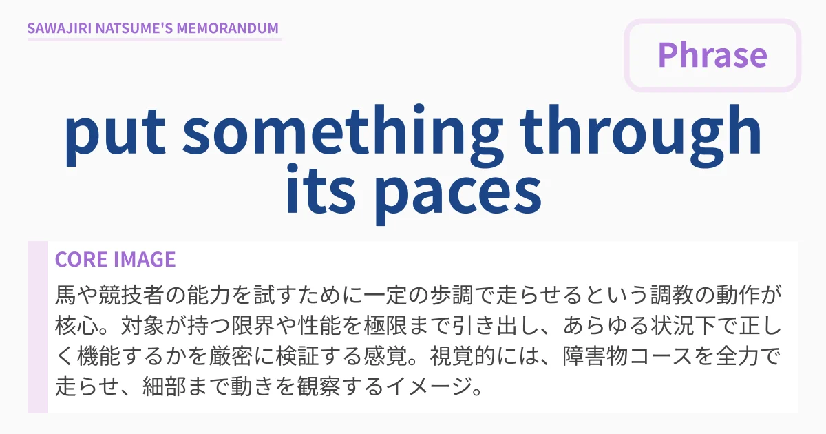 [put something through its paces] : Definition & Usage