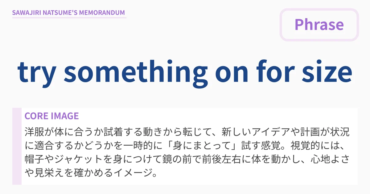 [try something on for size] : Definition & Usage